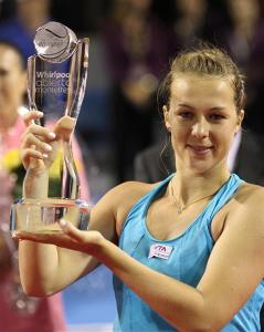 定性和高水 定性和高水